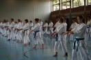 1. Unterfranken Karate Tag 2014_10