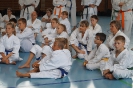 1. Unterfranken Karate Tag 2014_11