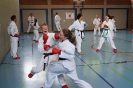 1. Unterfranken Karate Tag 2014_13