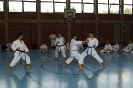 1. Unterfranken Karate Tag 2014_14