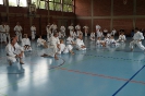 1. Unterfranken Karate Tag 2014_15