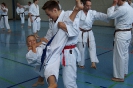 1. Unterfranken Karate Tag 2014_17