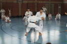 1. Unterfranken Karate Tag 2014_18