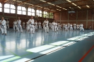 1. Unterfranken Karate Tag 2014_23