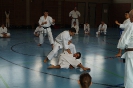 1. Unterfranken Karate Tag 2014_25