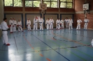 1. Unterfranken Karate Tag 2014_27