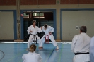 1. Unterfranken Karate Tag 2014_28