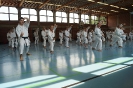 1. Unterfranken Karate Tag 2014_29