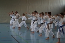 1. Unterfranken Karate Tag 2014_31