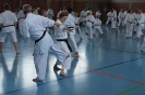 1. Unterfranken Karate Tag 2014_32