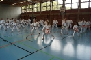 1. Unterfranken Karate Tag 2014_34