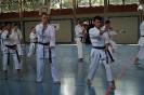 1. Unterfranken Karate Tag 2014_36