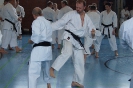 1. Unterfranken Karate Tag 2014_38