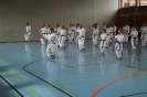 1. Unterfranken Karate Tag 2014_42