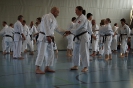 1. Unterfranken Karate Tag 2014_45