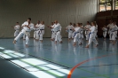 1. Unterfranken Karate Tag 2014_46