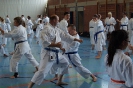 1. Unterfranken Karate Tag 2014_48
