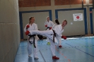 1. Unterfranken Karate Tag 2014_50