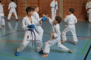 1. Unterfranken Karate Tag 2014_63