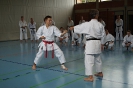 1. Unterfranken Karate Tag 2014_7