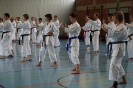 1. Unterfranken Karate Tag 2014_8