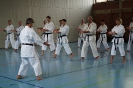 1. Unterfranken Karate Tag 2014_9